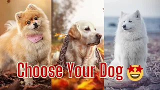 Choose your birthday month and see your fav🥰|Cute Dog|