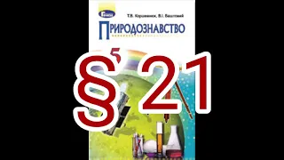 § 21 "АСТРОНОМІЯ- НАУКА ПРО ВСЕСВІТ" //5 клас Природознавство//Коршевнюк
