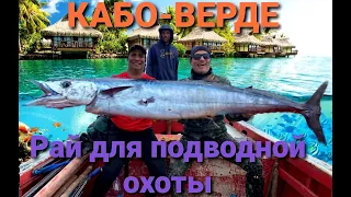 ОГРОМНЫЕ РЫБЫ ВАХУ ЗАПОЛОНИЛИ КАБО-ВЕРДЕ! ОСОБЕННОСТИ НАЦИОНАЛЬНОЙ ОХОТЫ!