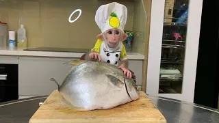 Monkey Bibi  cooks fish soup with Dad