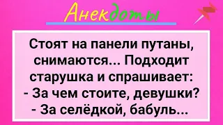 Бабушка Божий Одуванчик и Соленая Головка! Подборка Смешных Жизненных Анекдотов! Юмор и Смех!