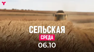 Сельская среда 06.10.2021