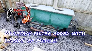 Multibay filter added to EcoSystem Koi pond, lots of filter media, alongside pressure filter/skimmer