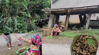 Pick up snails and sell them to get money to buy food | Lý Tiểu My