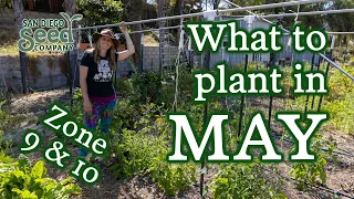 What to Plant in Your Garden May in Zones 9 & 10 + Seed Giveaway!