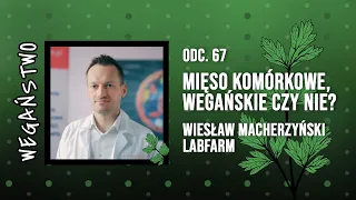 Mięso komórkowe - wegańskie czy nie? Wiesław Macherzyński z Labfarm - odc. 67