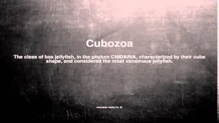 Medical vocabulary: What does Cubozoa mean