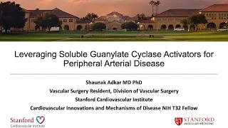 Leveraging Soluble Guanylate Cyclase Activators for Peripheral Arterial Disease