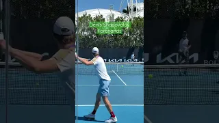 DENIS SHAPOVALOV Forehand Practice 🎾🦾 Court-Level Tennis #Shorts #Tennis #Shapovalov