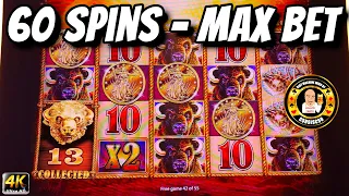 60 SPINS- MAX BET - Buffalo Gold Slot Machine