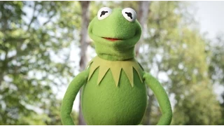 Kermit Celebrates the Start of Summer | with Kermit The Frog  | The Muppets