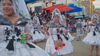 LLAMERADA PUNEÑA EN LA CANDELARIA 2024