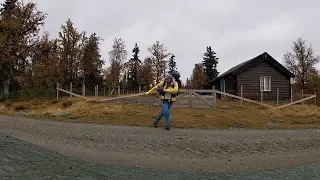 Reimers mot naturen