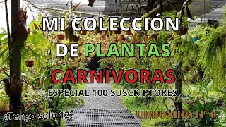 MOSTRANDO MI COLECCIÓN DE PLANTAS CARNÍVORAS Y ABRIENDO CAJAS | EDICIÓN 100 SUSCRIPTORES