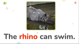 The rhino can swim | Animal names and sounds | Learn English for Kids - Kids vocabulary |