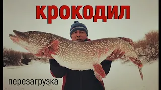 САМАЯ БОЛЬШАЯ ЩУКА В МИРЕ.огромная щука