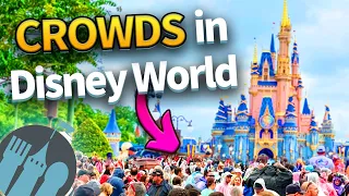 50 Ways to Avoid the Crowds in Disney World