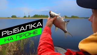 Фидерная ловля на реке Проня / Рыбалка весной / Fros Fishing