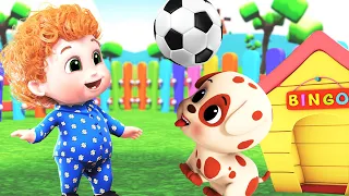 𝑵𝑬𝑾  Bingo School Class Dog Song S12 E05, Baby Shark Song , ABC | Most Viewed Video on YouTube