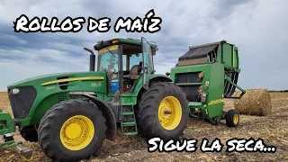 Haciendo rollos de MAÍZ con la JOHN DEERE 567, sequía HISTORICA!!...- Mauro Francou