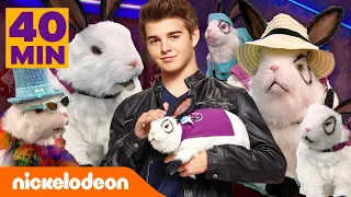 Thundermans | Maratona do Dr. Colosso Coelhinho por 40 minutos! | Nickelodeon em Português