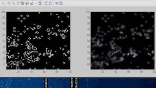 Cellular Automata in MATLAB