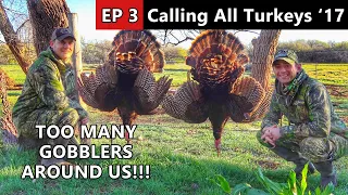 TOO MANY GOBBLERS!!! - Oklahoma Rio Grande Hunting - Calling All Turkeys