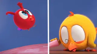 Onde está Chicky? 2023 | Almofada para whoopee | Desenhos Animados Infantil | Novos episódios