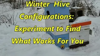 Winter Hive Configuration   Experiment to Find What Works For You