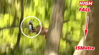 Mom monkey fights and drops her baby from the tree