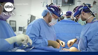 Doctors transplant gene edited pig kidney to brain dead patient