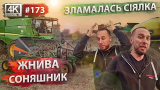 Жнива 2022🔥Збираємо соняшник🌻Посів пшениці по нулю | Сівалка John Deere