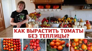 КАК ВЫРАСТИТЬ ТОМАТЫ БЕЗ ТЕПЛИЦЫ? Томаты в открытом грунте в сложных условиях