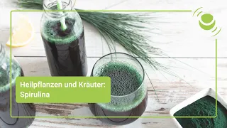 Spirulina – Alles, was Du über ihre Wirkung wissen solltest.