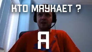 Папич мяукает - кто мяукает ?!