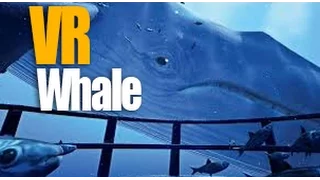 The Blu - Whale Encounter Virtual Reality Gameplay
