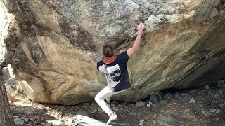 Green Monster V7