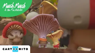 MUSH MUSH VE ARKADAŞLARI | Doktor | Cartoonito Türkiye TV