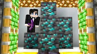 These Are The Last Diamonds In This SMP