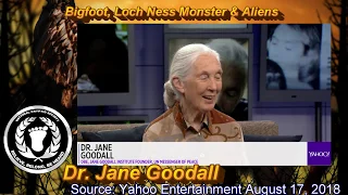 What does Jane Goodall about Bigfoot, the Loch Ness Monster and Aliens?