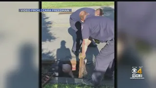 Salem Firefighters Rescue Ducklings From Storm Drain