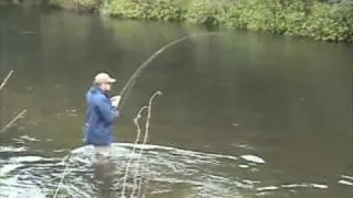 How to fight a Chinook salmon on the fly rod