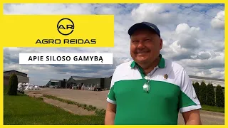 Bendrovės vadovas Algis dalinasi mintimis apie siloso gamybą