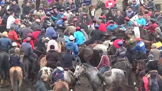 Терек-сайлык балбан озунун кок атында буйрулда Куба балбан кайкалатты 👍