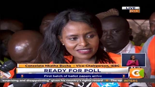 IEBC's role is to deliver an election, We hope people will vote - Nkatha
