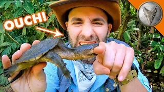 Snapping Turtle BITES Me.. AGAIN!