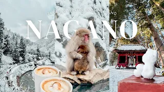 Winter Trip to Nagano 🇯🇵 | Visiting Snow Monkey Park ♨️ Togakushi Shrine & famous soba 🍜