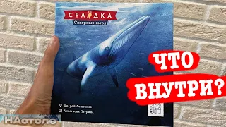 РАСПАКОВКА ПРЕДЗАКАЗА игры  Селёдка: Северные моря от студии JetBox