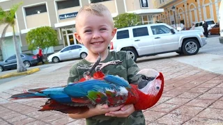 BOY FINDS DEAD BIRD!!