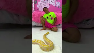 Dad scared of the snake. Funny prank from Nastya.